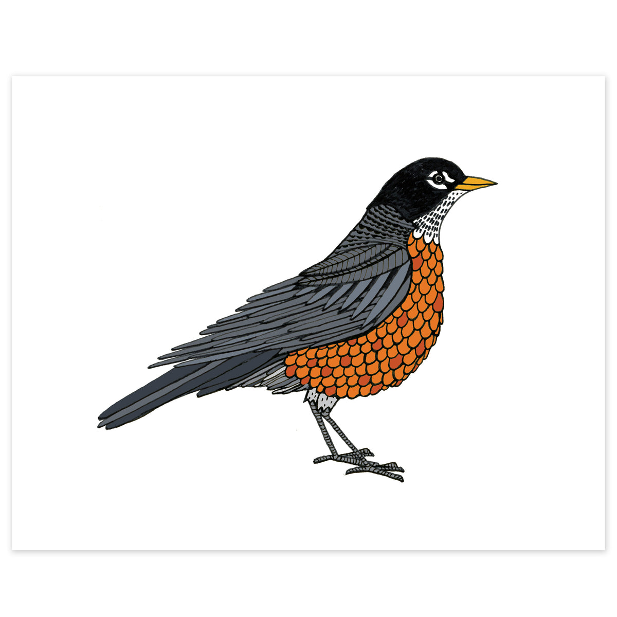 Robin_print_05_1200x1200.jpg?v