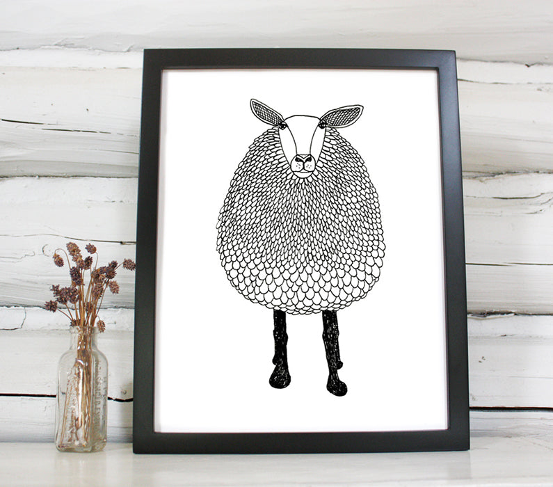Small black and white sheep