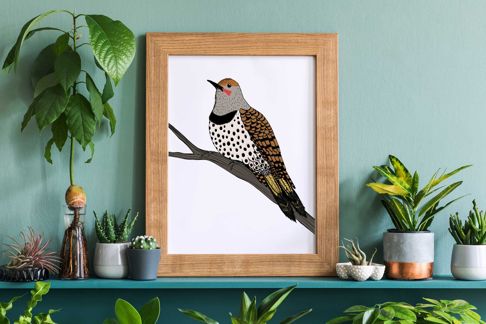 MUGAMICHILL-POLAND BIRDS 中村達也 ナスノミツル CDR Northern Flicker on a Branch Print – Sloe Gin Fizz