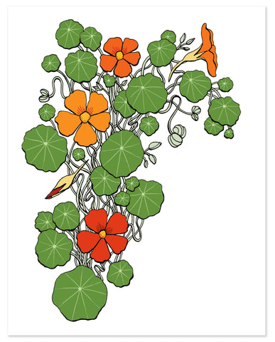 Nasturtium Print