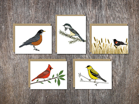 Backyard Birds Assorted Card Set