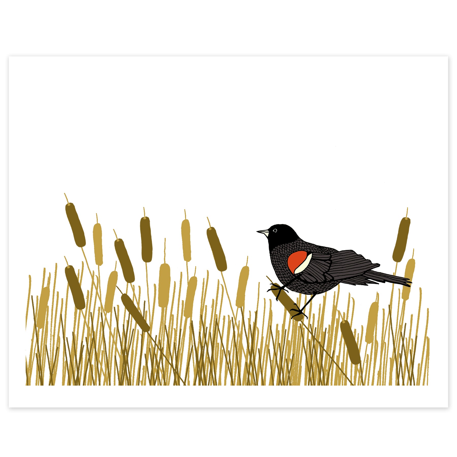 A print of a hand-drawn illustration of red-winged blackbird resting amongst a swath of cattails. Shown on a white background. 