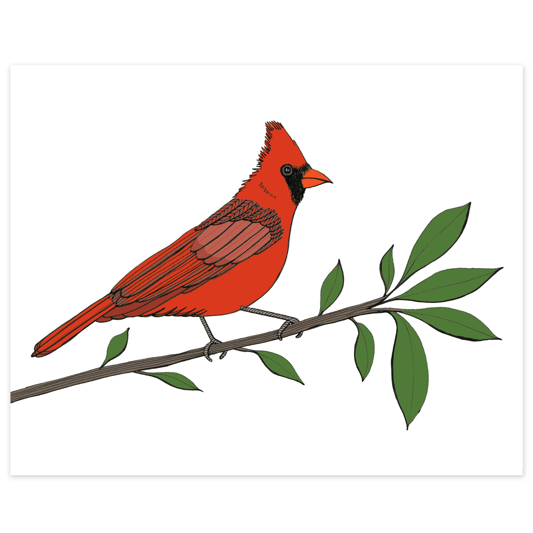 Majestic Red Cardinal on a Branch Print